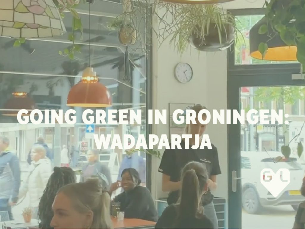 Going Green in Groningen 7 Wadapartja GroningenLife